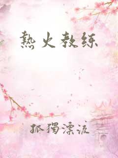 热火教练