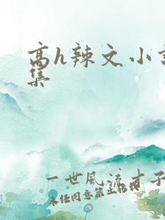 高h辣文小说合集