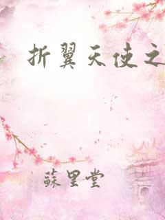 折翼天使之城3