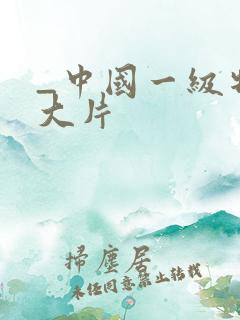_中国一级特黄大片