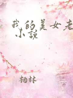 我的美女老婆们 小说