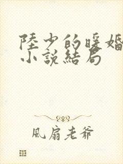 陆少的暖婚新妻小说结局