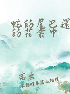 蛇的尾巴还在我的花丛中