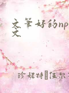 文笔好的np辣文