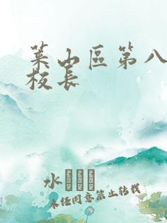 莱山区第八小学校长