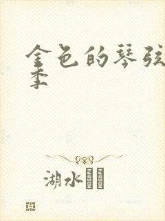 金色的琴弦第二季