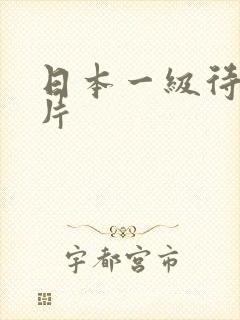 日本一级待黄大片
