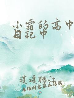 小霜的高中成长日记中