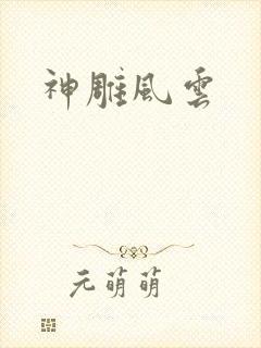 神雕风云