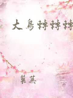 大鸟转转转