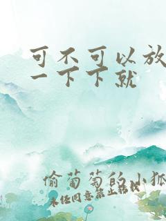 可不可以放进去一下下就