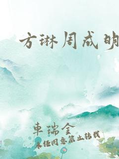 方琳周成明小说