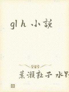 gl h 小说