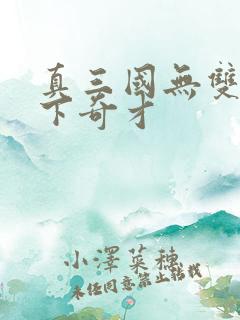 真三国无双4天下奇才