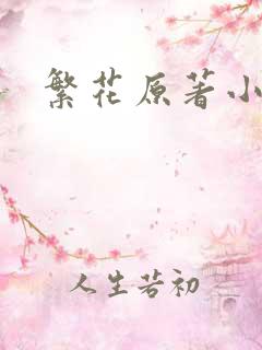 繁花原著小说