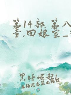 第14部 第八章,回娘家_乡村乱情_39小说网