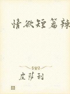 情欲短篇辣文