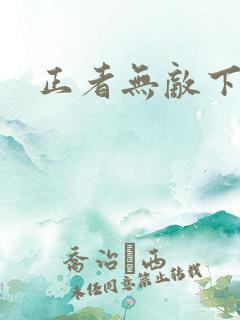 正者无敌下载