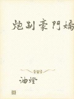 炮制豪门娇妻