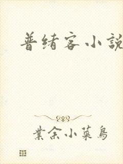 普绪客小说