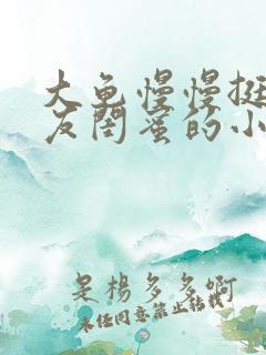 大龟慢慢挺进女友闺蜜的小说