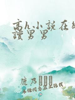 高h小说在线阅读男男