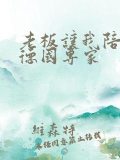老板让我陪两个德国专家