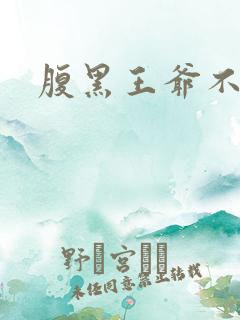 腹黑王爷不良妻