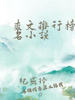 爽文排行榜前十名小说