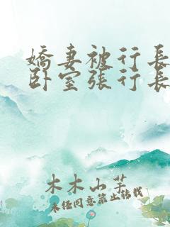 娇妻被行长抱进卧室张行长全文