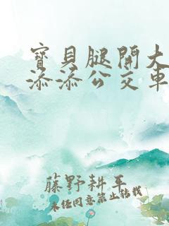 宝贝腿开大点我添添公交车