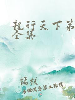龙行天下第二部全集