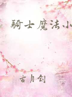 骑士魔法小说