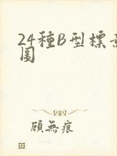 24种B型标意图