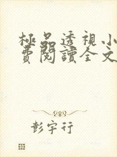 极品透视小说免费阅读全文大头
