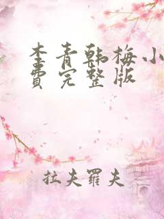 李青韩梅小说免费完整版