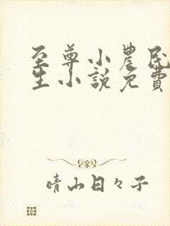 至尊小农民王木生小说免费阅读