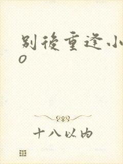 别后重逢小说po