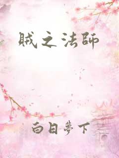 贼之法师