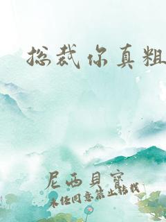 总裁你真粗鲁