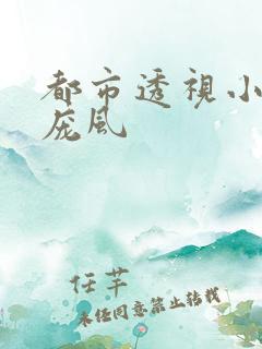 都市透视小神医庞风