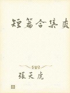 短篇合集爽文