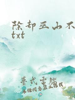 除却巫山不是云txt