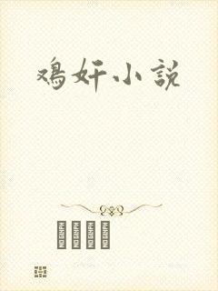 鸡奸小说