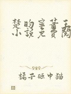 楚昀宁萧王穿越小说免费阅读无弹窗