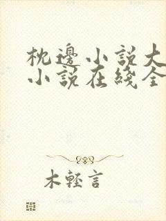 枕边小说大包子小说在线全文阅读