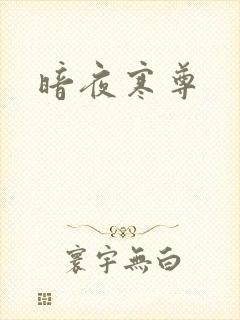 暗夜寒尊