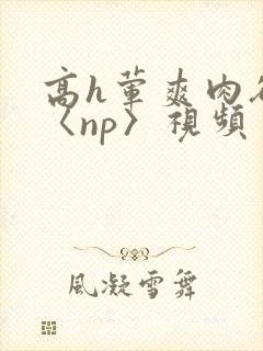 高h荤爽肉欲文〈np〉视频