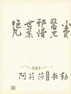 绝世邪医小说林凡叶惜免费阅读全文