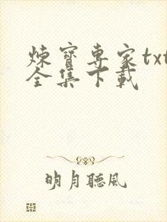 炼宝专家txt全集下载
